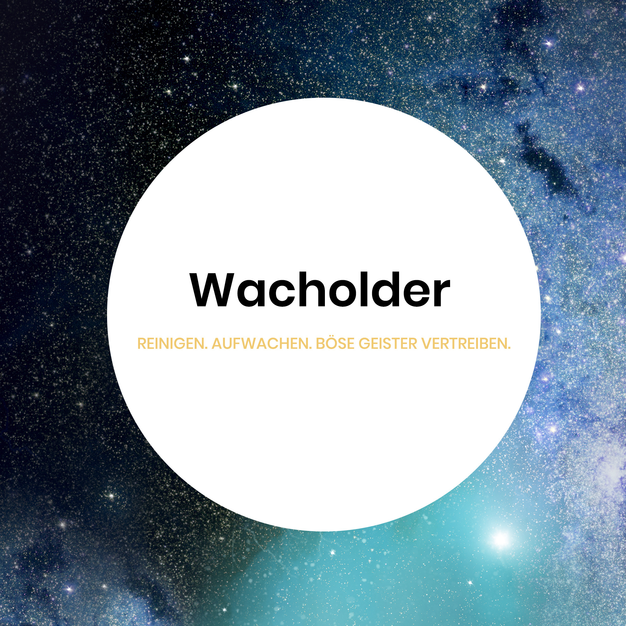 WACHOLDER