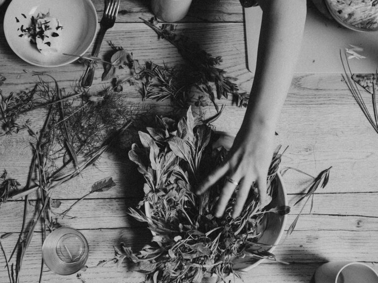 Ayurveda – jenseits von Hypes und Trends