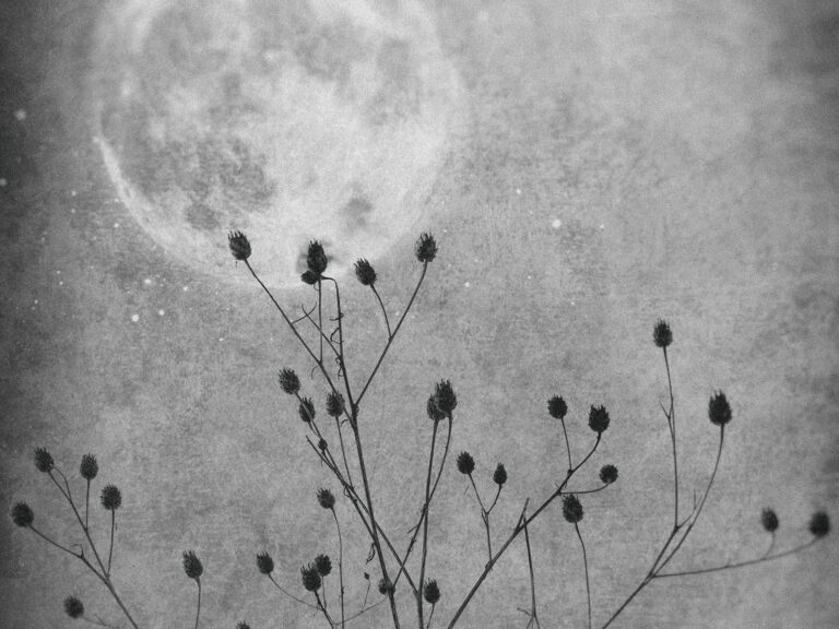 Licht im Schatten – Gedanken zur Mondfinsternis