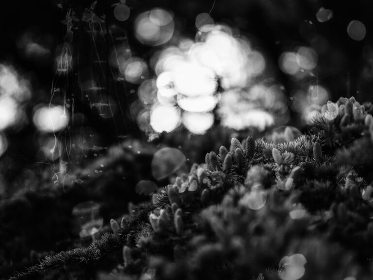 Glitzerglanz